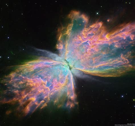 Behold the Nebula: A Sneak Peek into Magic's 2023 Portfolio